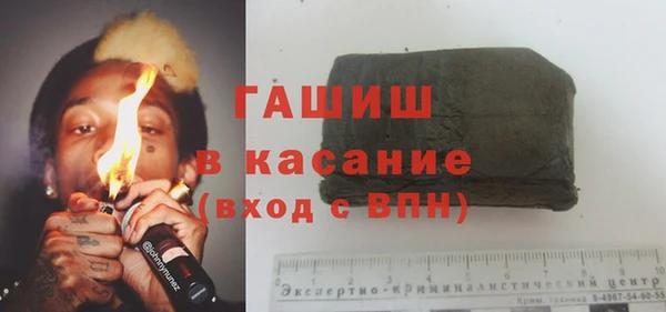 гашик Алексин