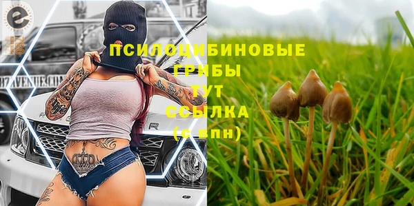 соль ск Алзамай