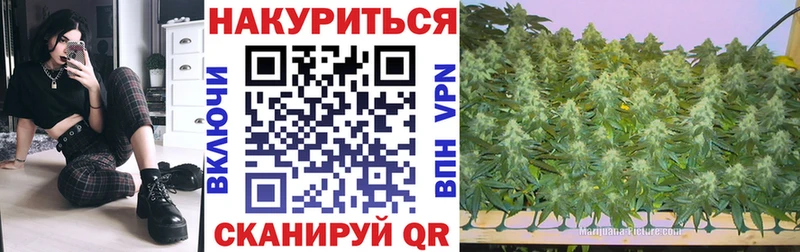 Каннабис MAZAR  Кохма 